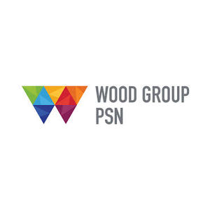 Wood groups