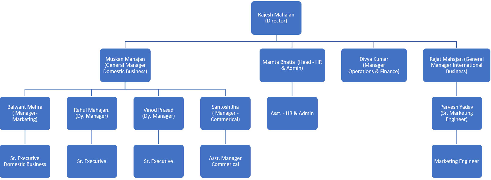 organisation chart